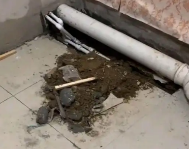 温宿卫生间漏水检测哪家好